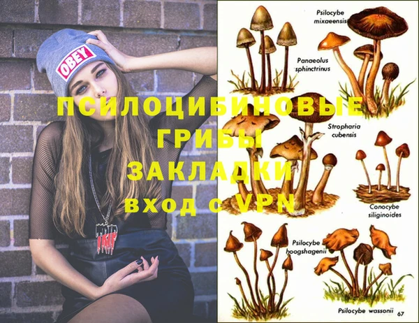 марки nbome Армянск