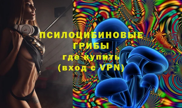 круглые Аркадак